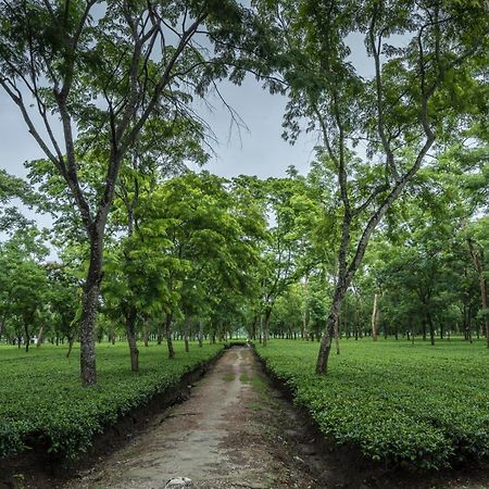 Tusker Tea County Hotel Chalsa Bagian luar foto
