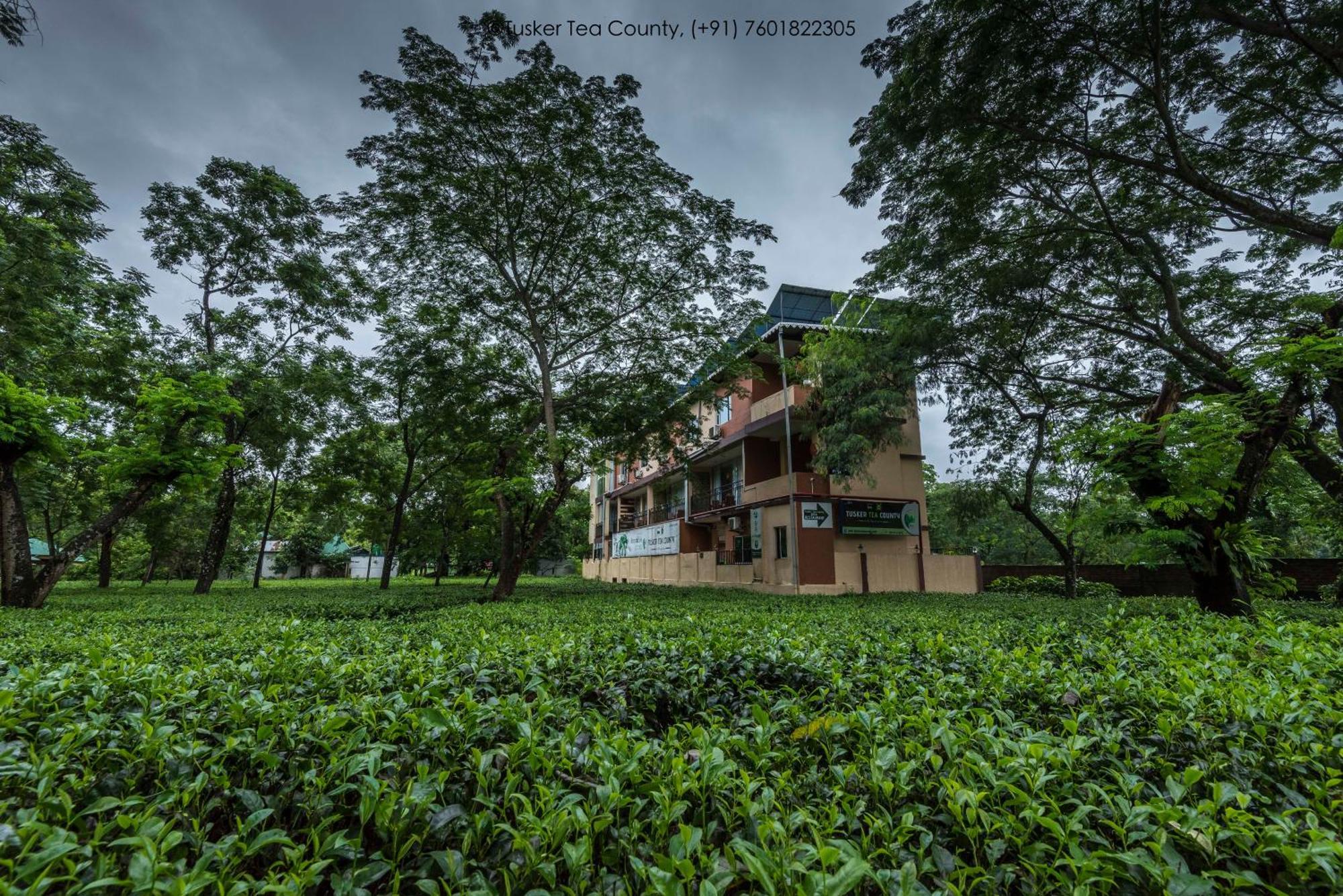 Tusker Tea County Hotel Chalsa Bagian luar foto