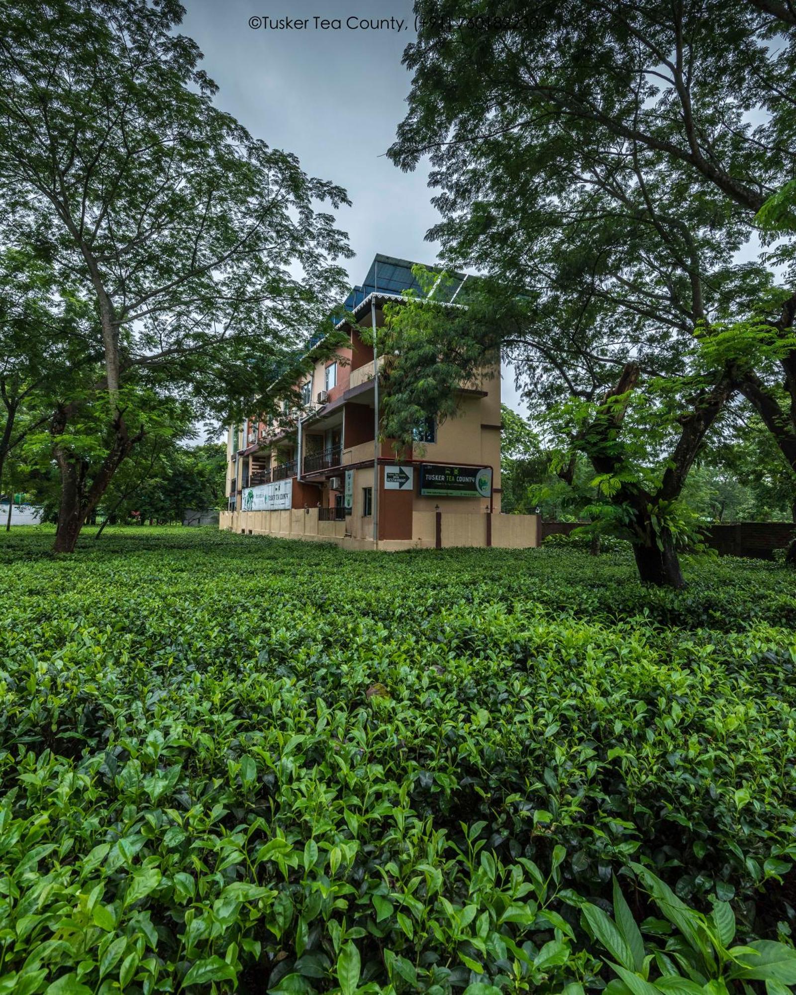 Tusker Tea County Hotel Chalsa Bagian luar foto